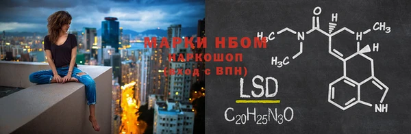 спиды Гусев