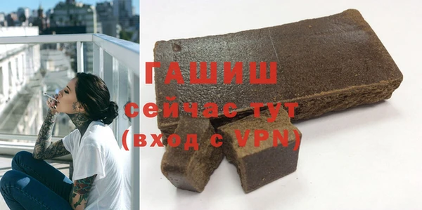 шишки Гусиноозёрск