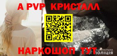 СК Моздок