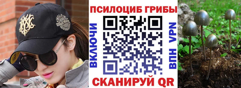 Псилоцибиновые грибы мицелий  Апрелевка 
