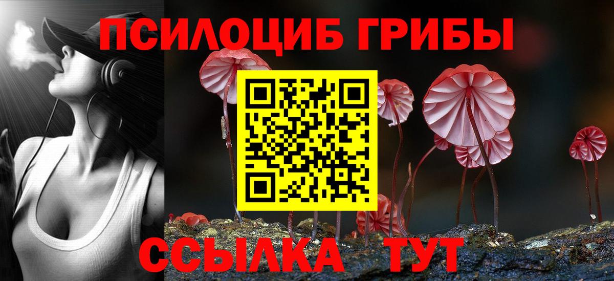 Псилоцибиновые грибы прущие грибы Апрелевка