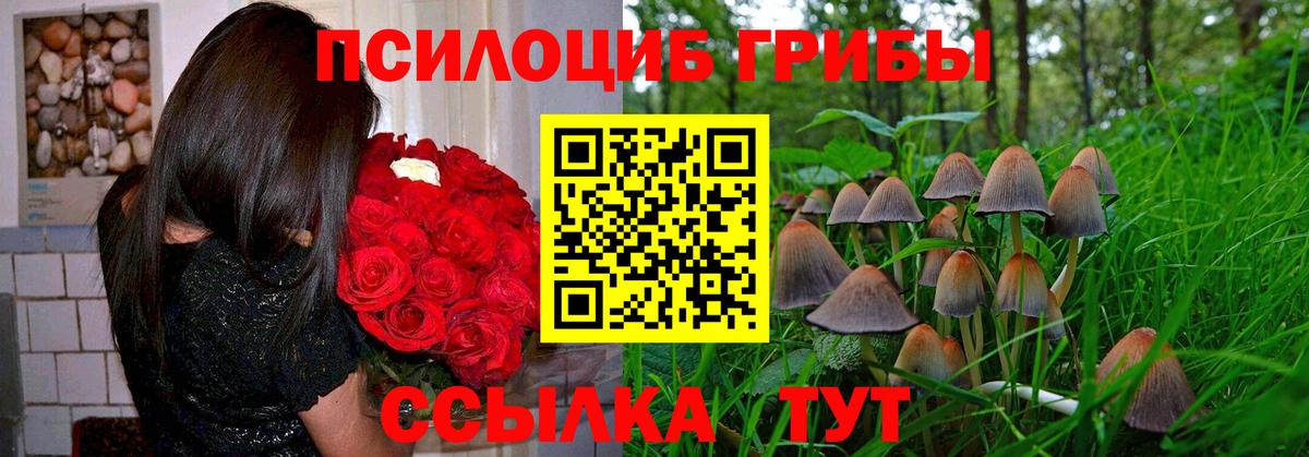 Апрелевка  Псилоцибиновые грибы Psilocybine cubensis  Вход с VPN  Галлюциногенные грибы Magic Shrooms 